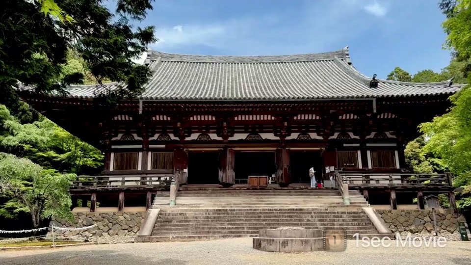 Still from the Jingo-ji Temple sample movie in Kyoto